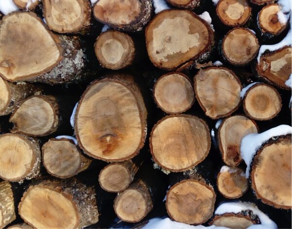 Nahaufnahme eine Stapels mit Baumstmmen